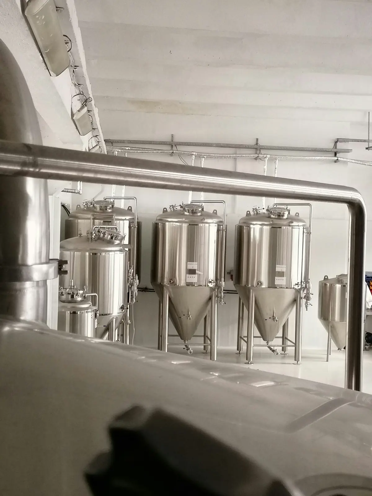 A row of stainless steel fermentation tanks on legs in a white-walled brew room