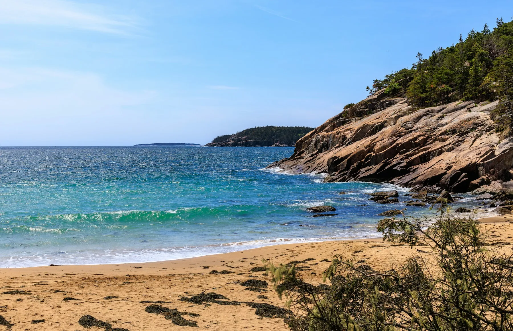 A sandy cove beside a pine-topped granite headland on the Maine coast